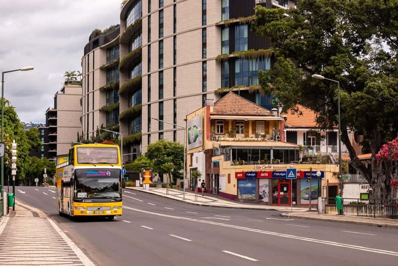 Funchal:Hop-on Hop-off Bus & Whale & Dolphin boat Excursion - Fajã do Cabo Girão: The Swim and Snorkeling Stop
