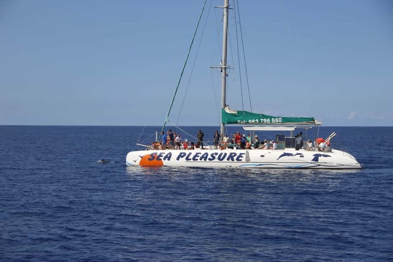 Funchal:Hop-on Hop-off Bus & Whale & Dolphin boat Excursion - Old Blandys Madeira Wine Tasting + Bordal Embroidery Factory