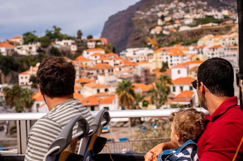 Funchal:Hop-on Hop-off Bus & Whale & Dolphin boat Excursion - Best Bus Stops for Real Sightseeing (Funchal + Câmara de Lobos)