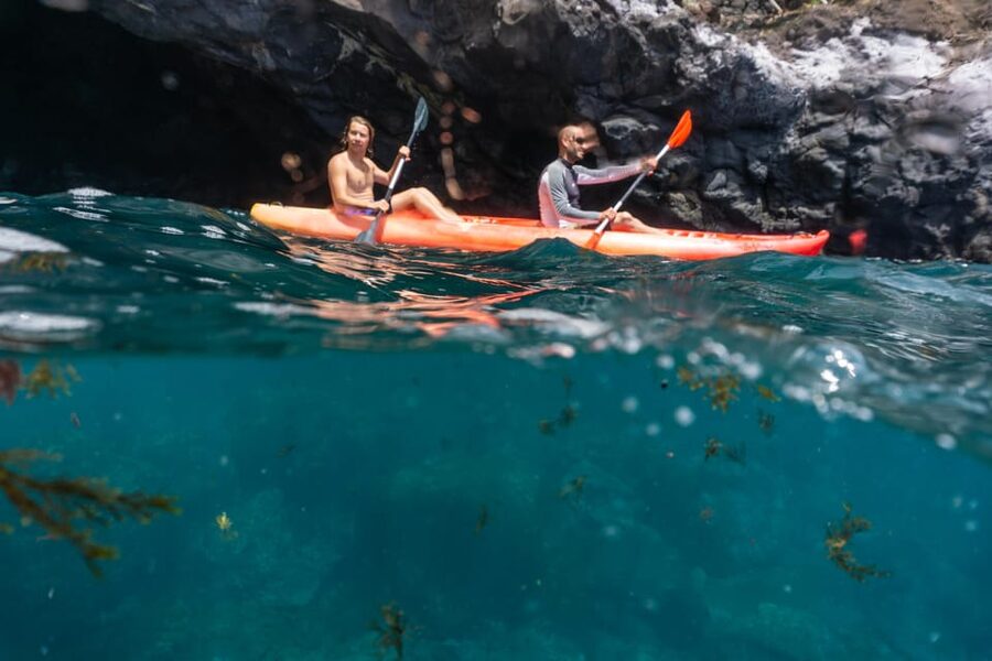 Funchal: KAYAK Rental or Guided tour with snorkeling - A 1.5-hour kayak-and-snorkel rhythm that fits real schedules