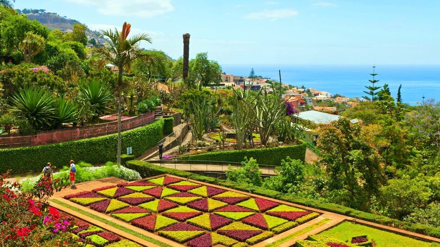 Funchal: Madeira Botanical Garden Tuk-Tuk Tour + Old Town - Madeira Botanical Garden: 1 hour among 2,500+ species