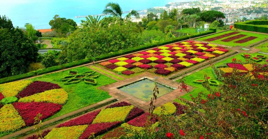 Funchal: Madeira Botanical Garden Tuk-Tuk Tour + Old Town - Old Town by pass-by: Farmers’ Market and Zona Velha