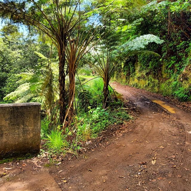 Funchal: Madeira Island 4x4 Private Customizable Tour - Why private 4x4 beats Madeira’s big-bus style day
