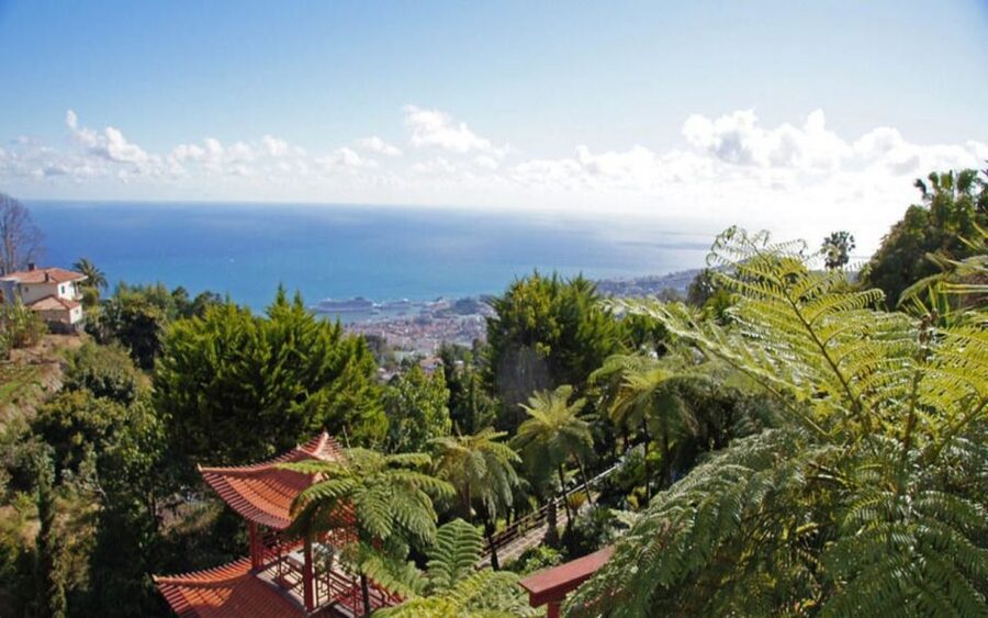 Funchal: Monte Palace Tropical Gardens Tuk Tuk Tour - From hotel pickup to hilltop viewpoints: the ride that sets the tone