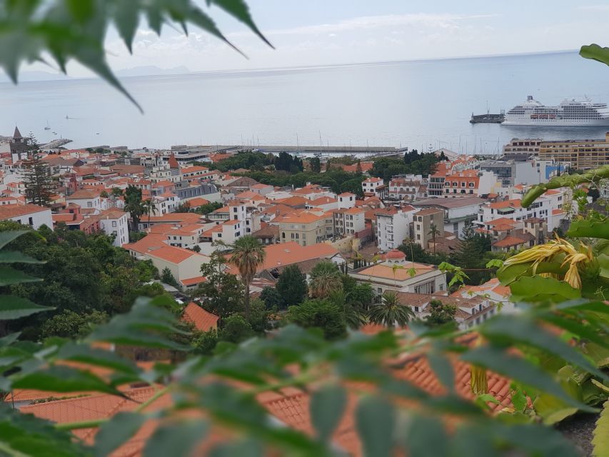 Funchal: Monte Toboggan and Old Town Tour by Tuk-Tuk - Price and value: what $47 really buys, plus the 17.5€ ticket