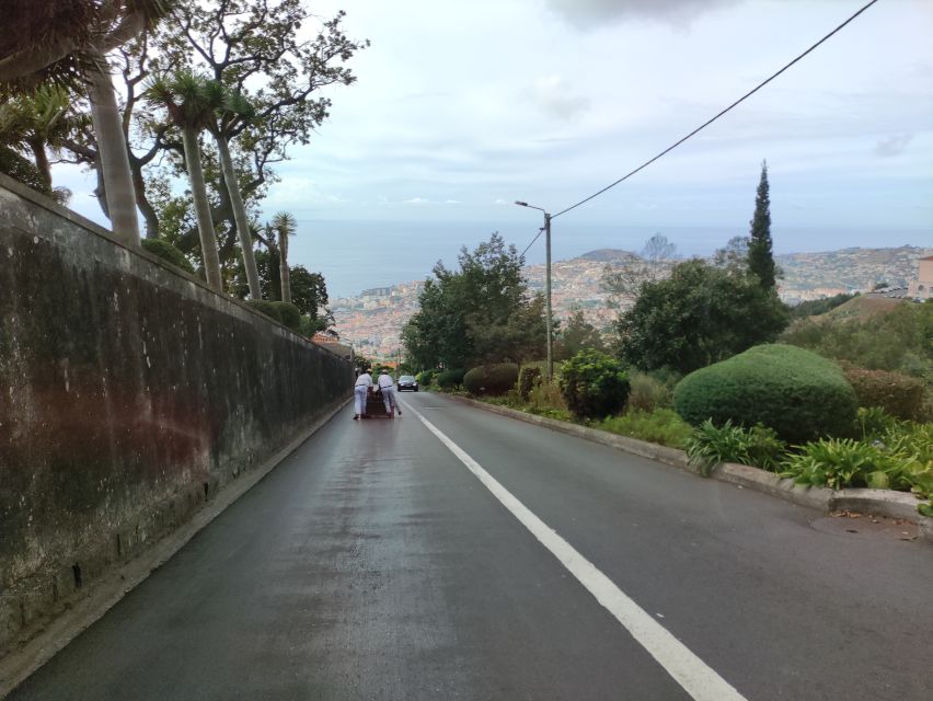 Funchal: Monte Toboggan and Old Town Tour by Tuk-Tuk - Old Town and Farmers Market pass-by: your quick orientation in Funchal