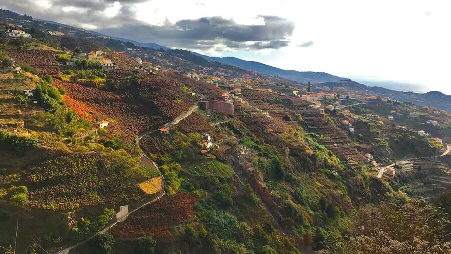 Funchal: Northern Levada Walking Tour - What to bring (and what to skip) for a levada day