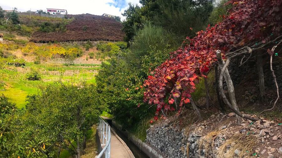 Funchal: Northern Levada Walking Tour - Campanário: more village feel, more ocean-and-mountain balance