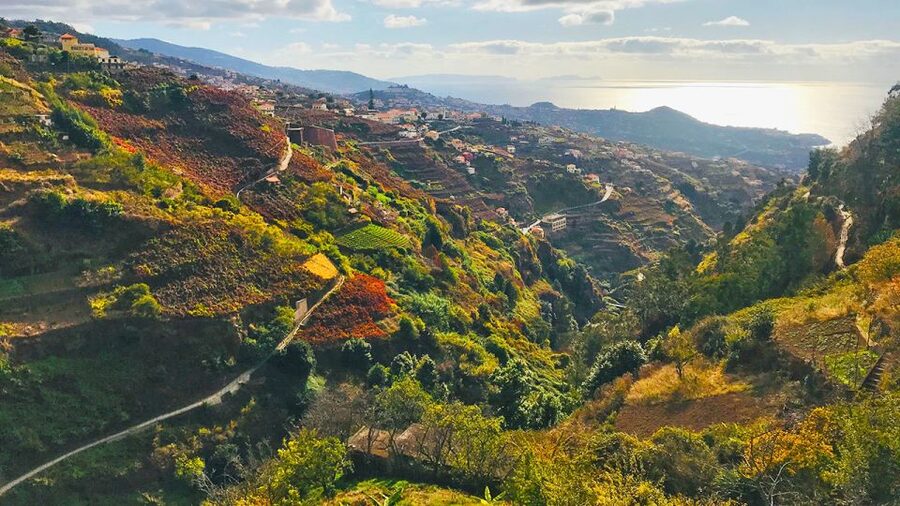 Funchal: Northern Levada Walking Tour - Duration and pace: 135 minutes is a strong taste, not a marathon