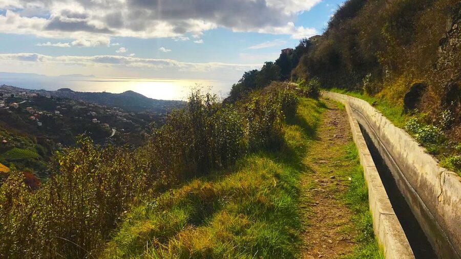 Funchal: Northern Levada Walking Tour - What you get for $38: why the guide changes the value
