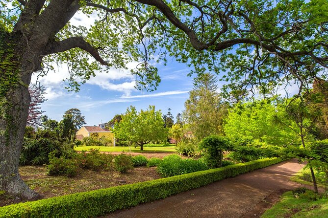 Funchal Old Town & Palheiro Gardens Private Tuk Tuk Tour - Palheiro Gardens at Quinta do Palheiro: What Makes It Worth the Trip