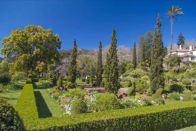 Funchal Old Town & Palheiro Gardens Private Tuk Tuk Tour - Comfort and Practical Tips: What to Bring and How to Handle Weather