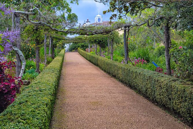 Funchal Old Town & Palheiro Gardens Private Tuk Tuk Tour - Who Should Book This Tour (and Who Might Skip It)