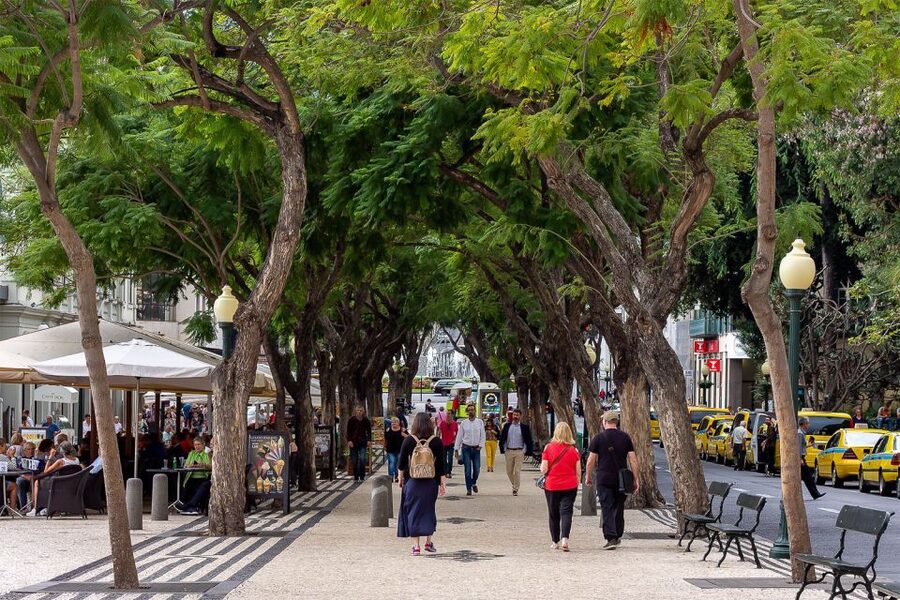 Funchal: Old Town Walking Tour - City Hall surprises and a 19th-century sweet factory you can actually picture