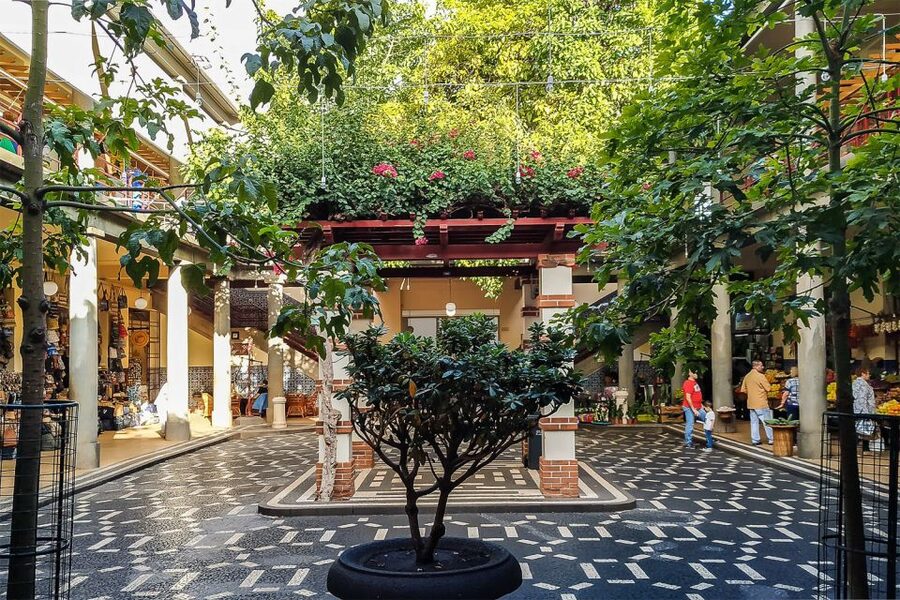 Funchal: Old Town Walking Tour - The Regional Legislative Assembly and Funchal Cathedral: power and faith in one walk
