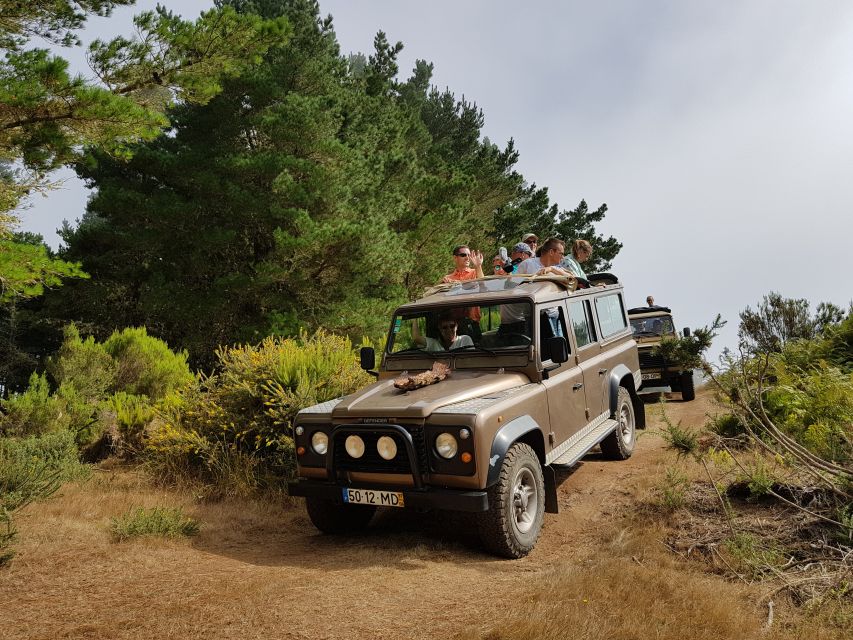 Funchal: Pico Arieiro, Cristo Rei and Dolphins Watching - Key Points You’ll Care About