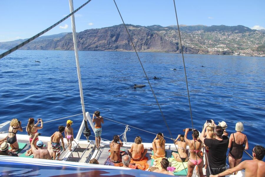 Funchal: Pico Arieiro, Cristo Rei and Dolphins Watching - Pico do Arieiro: 1,818 Meters and the Best “Stare-At-It” Views