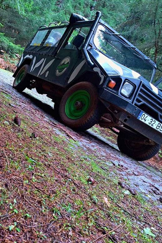Funchal: Pico do Areeiro to Santana 4x4 East Tour - North Mills Distillery Stop: Guided Tour and Time to Browse