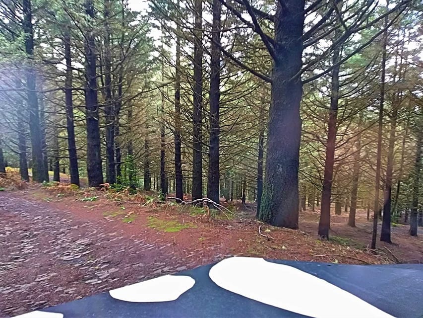 Funchal: Pico do Areeiro to Santana 4x4 East Tour - What to Pack: Shoes, Layers, and the No-Large-Bags Rule