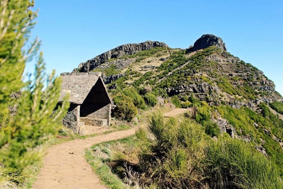 Funchal: Pico do Arieiro & Pico Ruivo Hiking Transfer - Who This Hike Is For (and Who Should Skip It)
