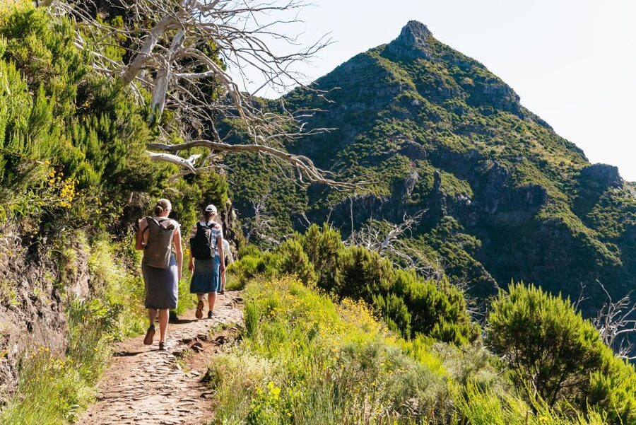 Funchal: Pico do Arieiro Sunrise Hiking Transfer - Key things I’d know before booking