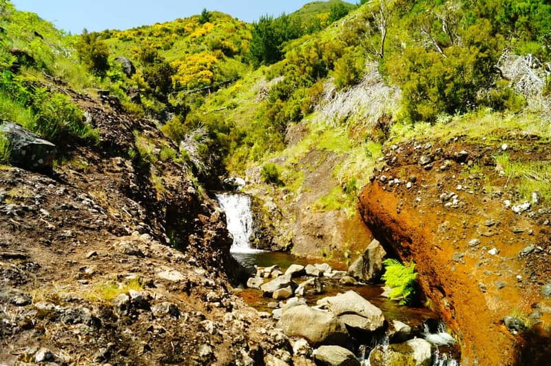 Funchal: Pico do Arieiro Sunrise Plus 2 extra Hiking Trails - The coffee shop lunch stop that actually helps