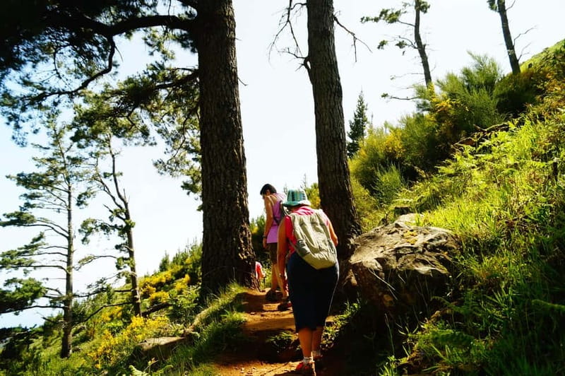 Funchal: Pico do Arieiro Sunrise Plus 2 extra Hiking Trails - Price and value: why $33 can be a good deal