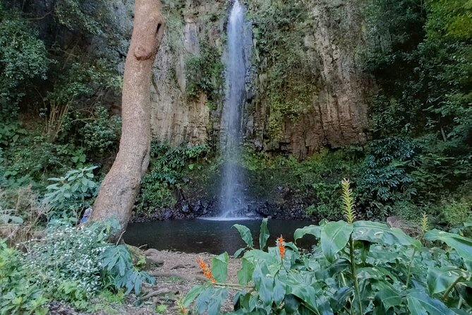 Funchal: Pico do Arieiro to Santana and Ponta de Sao Lorenco - Why this East tour works well from Funchal