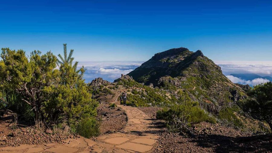 Funchal: PR1.2 Pico Ruivo & Achada Teixeira Hiking Transfer - Key highlights you’ll feel right away
