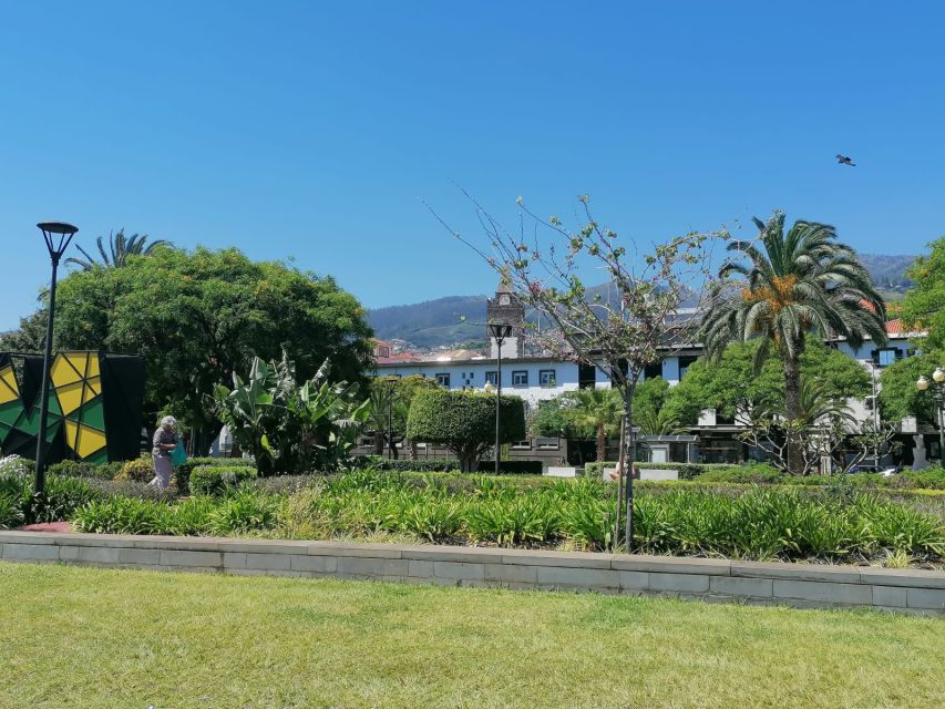 Funchal: Private Guided Tour of Historic Center by Tuk Tuk - Key Highlights You’ll Actually Feel During the Ride