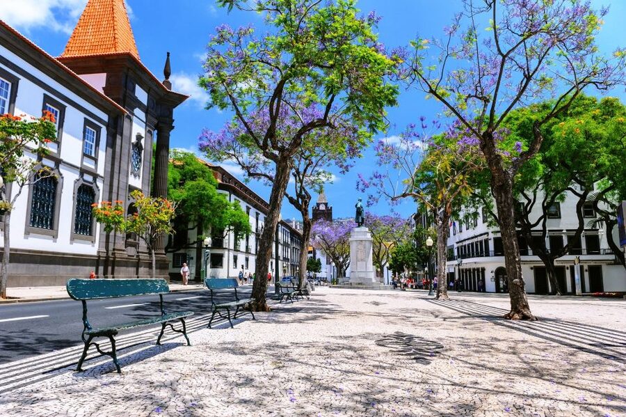 Funchal: Private Guided Tour of Historic Center by Tuk Tuk - The Cathedral and City Hall: Civic and Spiritual Landmarks in One Loop