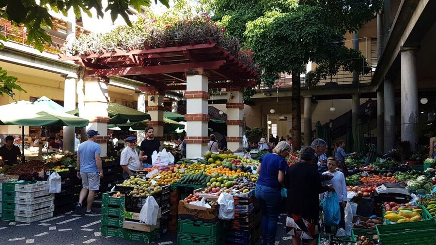 Funchal: Private Guided Walking Tour - Ending at Catarina City Park: a comfortable finish