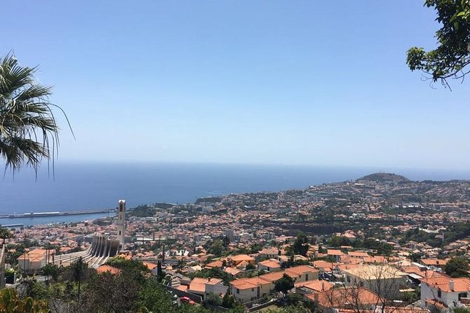 Funchal Private Transfers Service to Madeira Airport - Key highlights worth planning for
