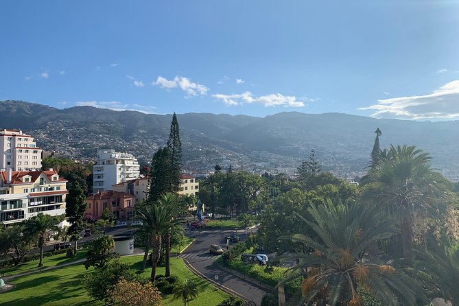 Funchal Private Transfers Service to Madeira Airport - Pickup in Funchal: what the 15–20 minute early arrival means for you