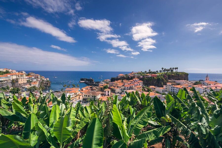 Funchal: Private Tuk-Tuk Tour to Cabo Girão Cliff - Skywalk - Who Should Book This and Who Might Skip It