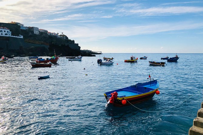 Funchal Private Vehicle Service with Driver for a Half Day or Full Day - Price and what you actually get for $125.23