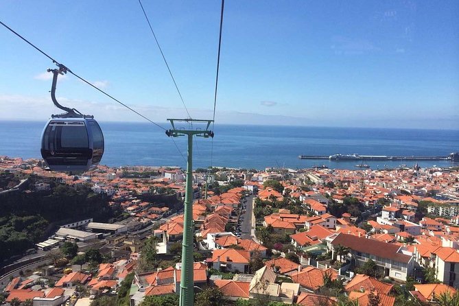 Funchal Private Vehicle Service with Driver for a Half Day or Full Day - How the driver turns stops into a real experience
