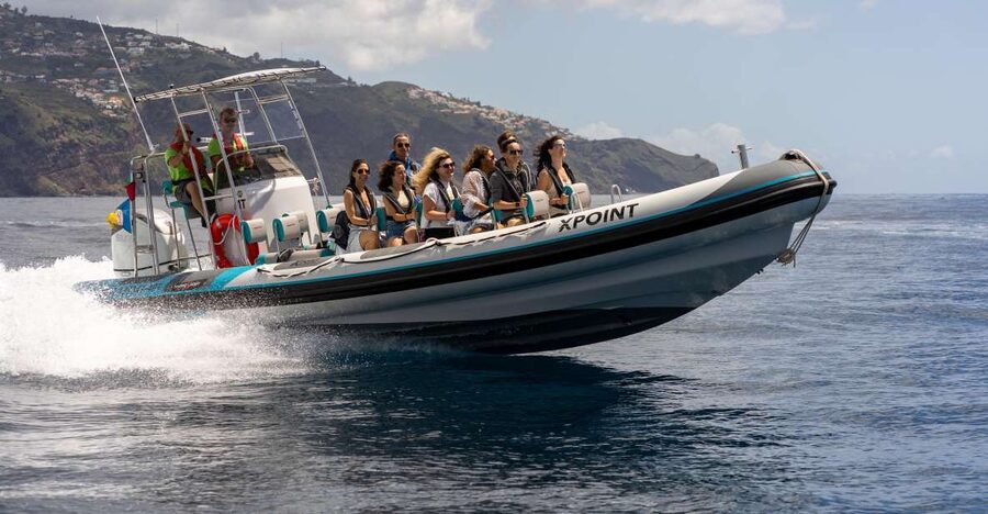 Funchal: RIB Whale Watching Cruise and Optional Dolphin Swim - A Fast RIB in Funchal, Built for Real Wildlife Time