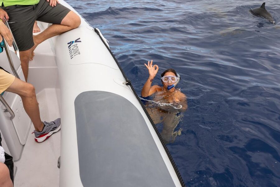 Funchal: RIB Whale Watching Cruise and Optional Dolphin Swim - What You Might See: Dolphins, Whales, and the Occasional Turtle