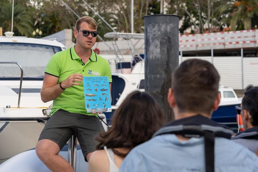 Funchal: RIB Whale Watching Cruise and Optional Dolphin Swim - Guides, Spotters, and the Small-Group Advantage