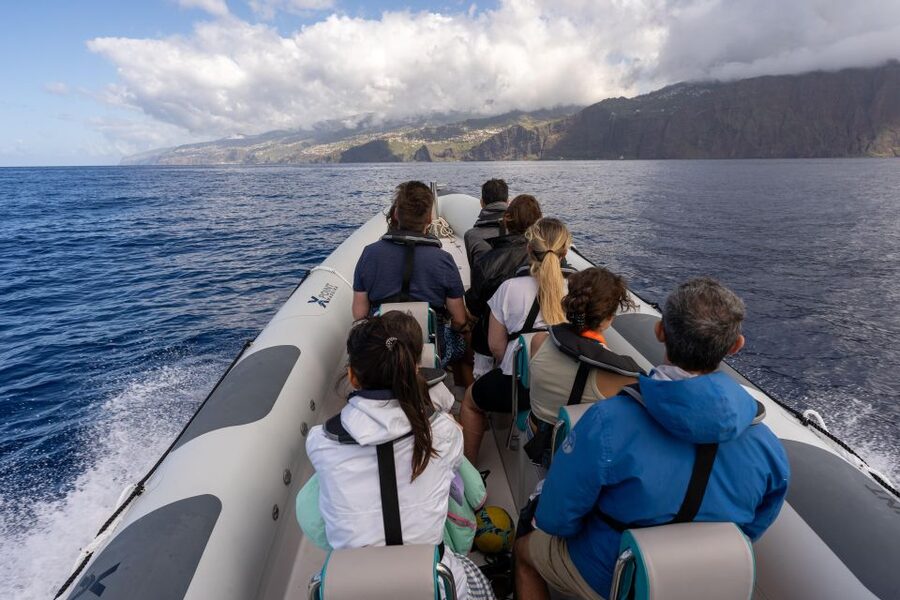 Funchal: RIB Whale Watching Cruise and Optional Dolphin Swim - Price and Value: Is $61 Worth It?
