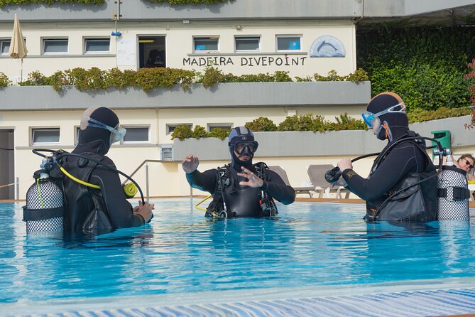 Funchal: Scuba Diving Experience for Beginners - Your first scuba session in Funchal: the real appeal