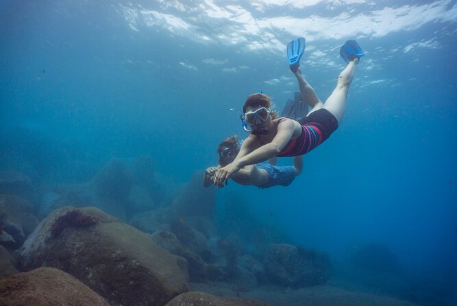 Funchal: Snorkeling Adventure in Eco-Park / Shore or by Boat - Key things you’ll like about this Funchal snorkel