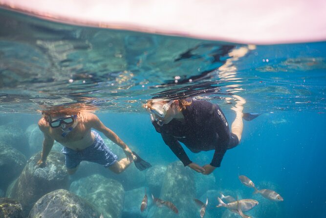 Funchal: Snorkeling Adventure in Eco-Park / Shore or by Boat - The Safety Briefing and Snorkel Intro That Helps You Actually Enjoy It