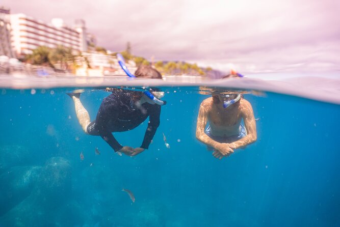 Funchal: Snorkeling Adventure in Eco-Park / Shore or by Boat - 2 Hours in the Water: Your Pace, and Why the Wetsuit Option Matters