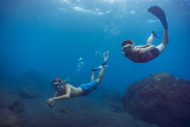 Funchal: Snorkeling Adventure in Eco-Park / Shore or by Boat - Equipment That Works (and Staff Who Fix It Fast)