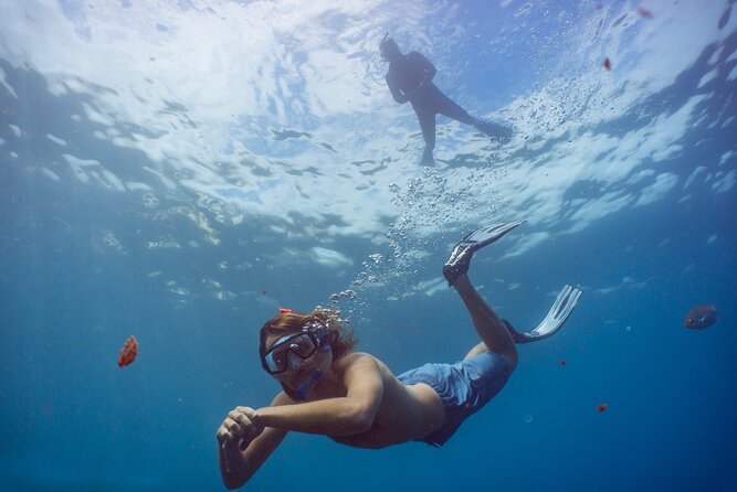 Funchal: Snorkeling Adventure in Eco-Park / Shore or by Boat - Two Snorkeling Styles: House-Reef Freedom or Protected-Reserve Boat