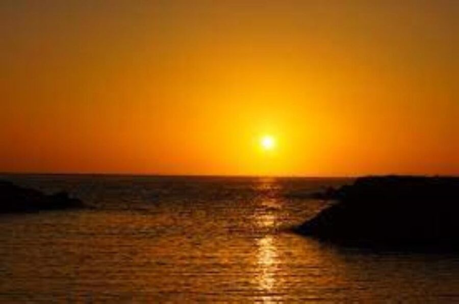 Funchal: Speedboat SEE THE ISLAND AND LIFE AT SEA - Should You Book This Speedboat Tour?