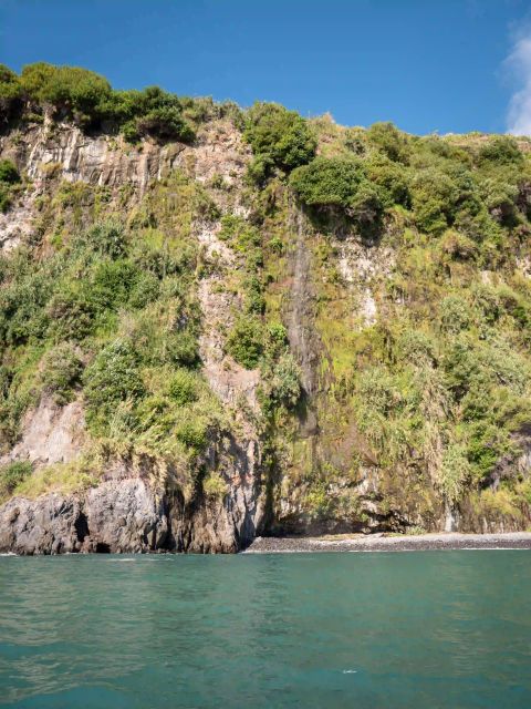 Funchal: Speedboat SEE THE ISLAND AND LIFE AT SEA - Wildlife Spotting Off Madeira’s Coast: Dolphins and Whales Potential