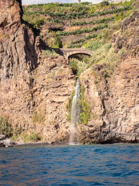 Funchal: Speedboat SEE THE ISLAND AND LIFE AT SEA - The Guide Experience: Fun Facts vs. Real-Time Pace
